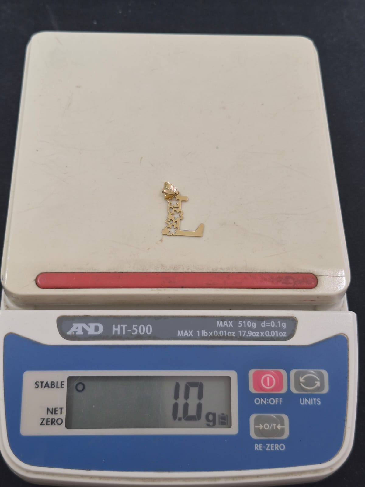 ✨ Luxe Initial Pendant – “L” ✨